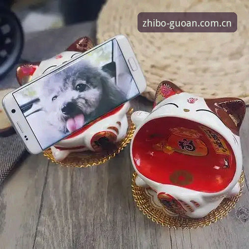 你有没有碰到过那种明明买好会员，手举着手机就等开球，结果跳出个“登录失败”的提示，急得恨不得把屏幕戳碎？反正我上个月遇到过三回，尤其是国安客场对上港那场赛前，差点把家里的WiFi换了。